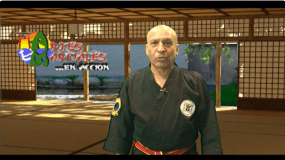 Artes Marciales en Acción